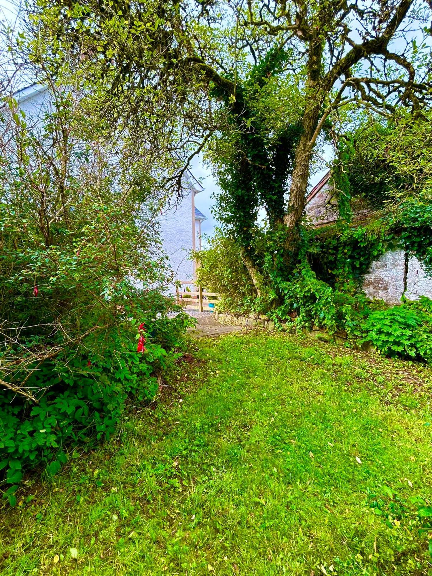 Вилла Lime Tree House Maguires Bridge Экстерьер фото